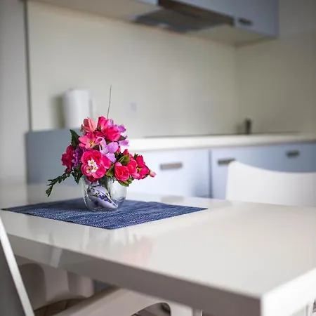 Afrodita Guest house